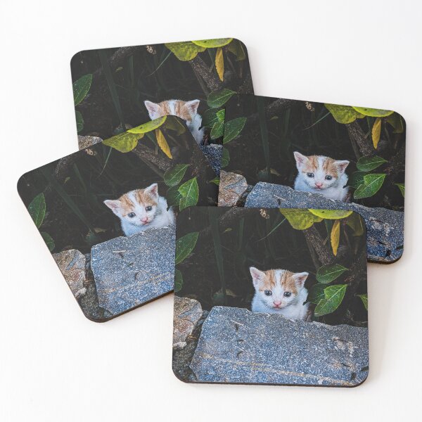 Item preview, Small street cat in Crete – Cute kitten in the bushes designed and sold by Tammigrafie.