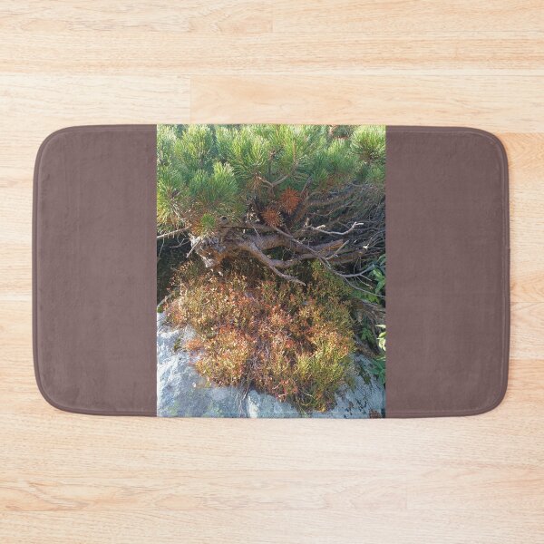Item preview, autumn, autumn season, nature designed and sold by colorgallery11.