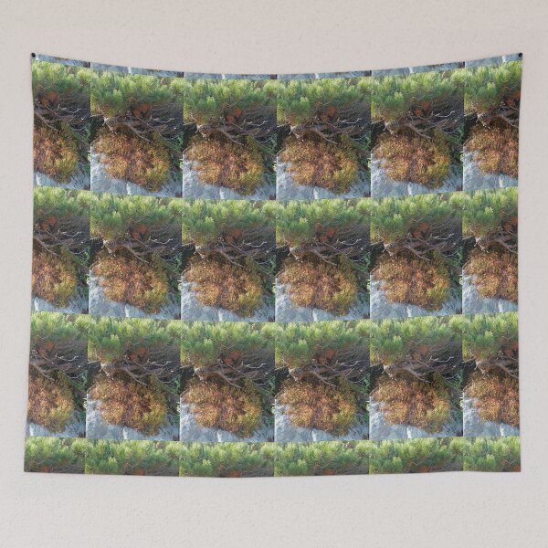 Item preview, autumn, autumn season, nature designed and sold by colorgallery11.