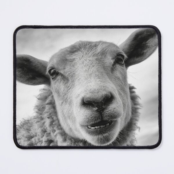 Item preview, Funny Black and White Sheep Portrait Print, Cute Farm Animal Wall Art designed and sold by QuietCanvasArtworks.