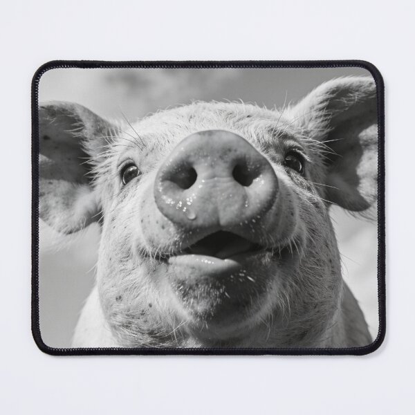 Item preview, Funny Black and White Pig Portrait Print, Cute Farm Animal Wall Art designed and sold by QuietCanvasArtworks.