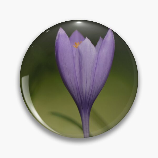 Item preview, Crocus designed and sold by KNBS.