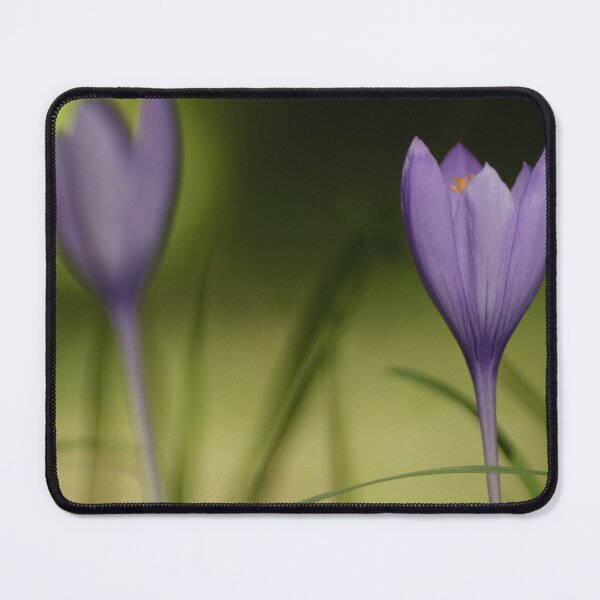Item preview, Crocus designed and sold by KNBS.