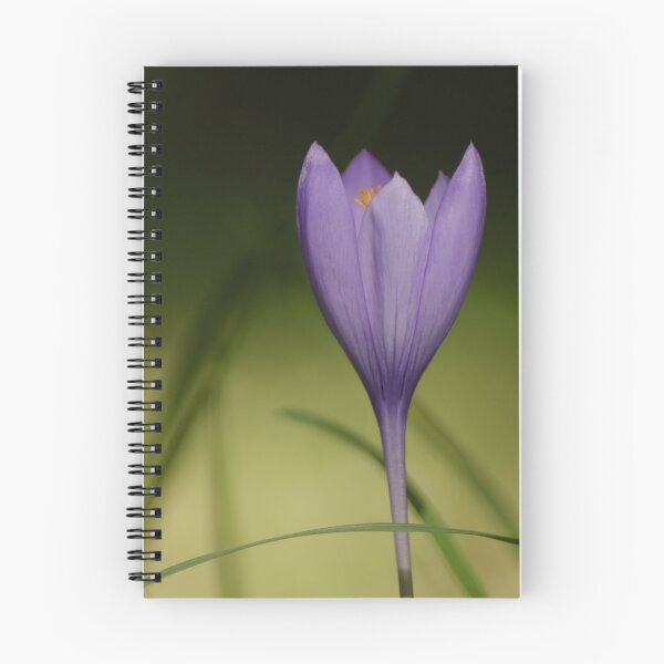 Item preview, Crocus designed and sold by KNBS.