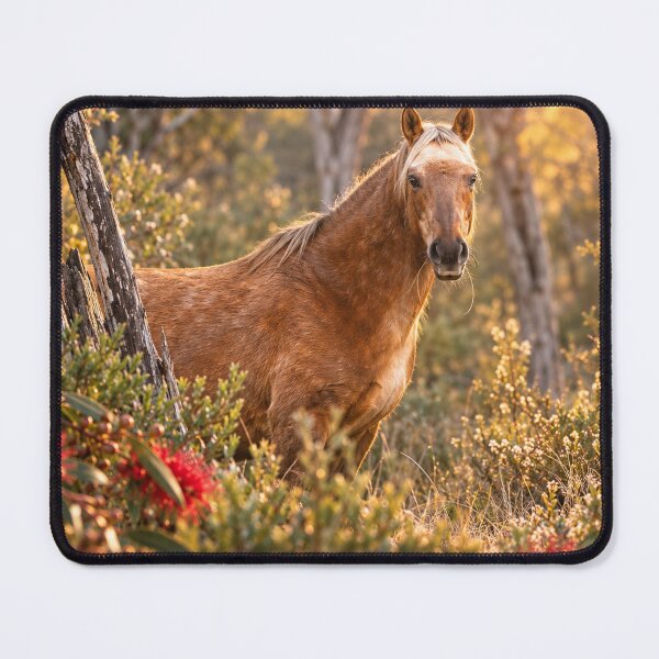 Item preview, The Pali Mare - Brumbies Belong designed and sold by Animal House Store.