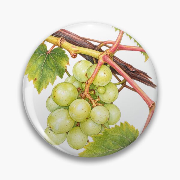 Item preview, Gorgeous green grapes on the vine and  green leaves photo art designed and sold by naturematters.