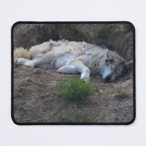 Item preview, Sleeping Wolf designed and sold by Creek Nymph Photography.