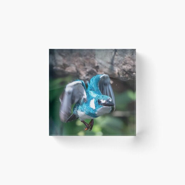 Artikelvorschau, Shark Minecraft Angriffsmodus entworfen und verkauft von leahpau.