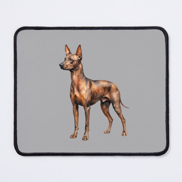 Item preview, Xoloitzcuintli Watercolor Portrait - Mexican Hairless Dog Art designed and sold by Pickmash.