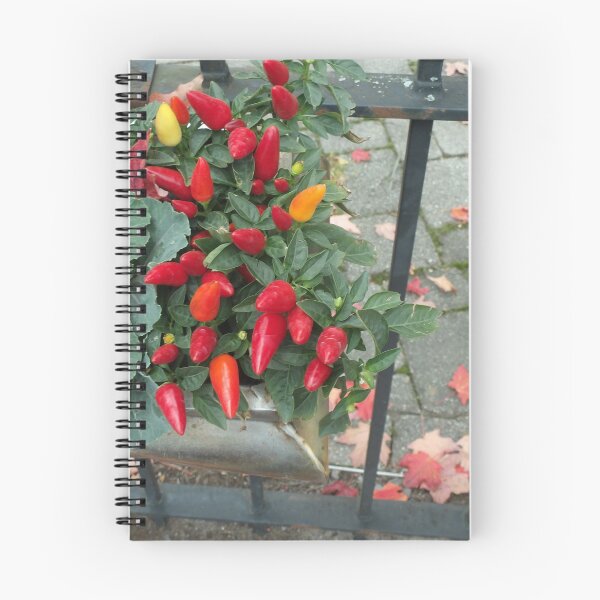 Item preview, RED PEPPER PLANT designed and sold by Digital2dreams.
