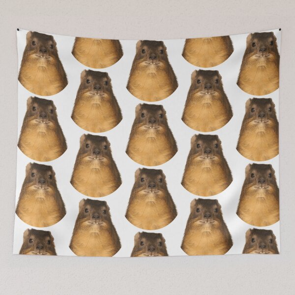 Item preview, Rock Hyrax Photo - Dassie designed and sold by luisjacianaa.
