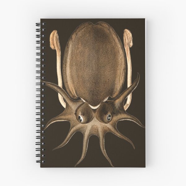 Item preview, Large Melbourne Sepia or Cuttlefish (Sepia apama) designed and sold by The Ravens Ballad.
