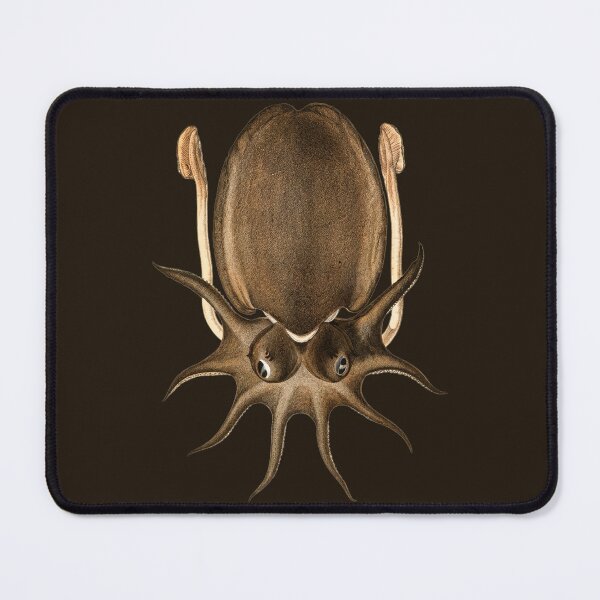 Item preview, Large Melbourne Sepia or Cuttlefish (Sepia apama) designed and sold by The Ravens Ballad.