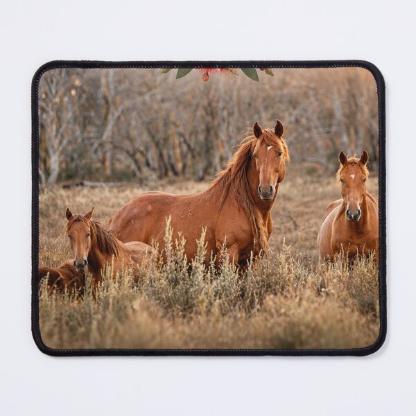 Item preview, Redman Mob - Wild Brumby designed and sold by Animal House Store.