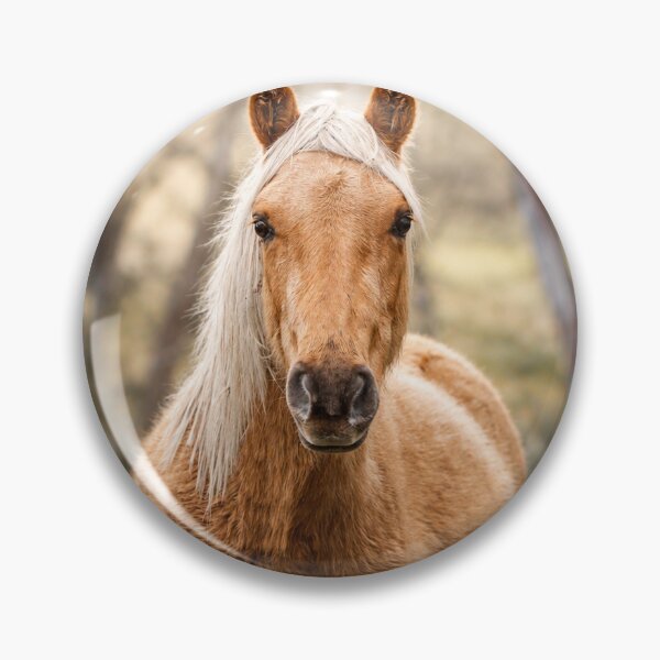 Item preview, Brumby Filly Matilda Christmas designed and sold by Animal House Store.