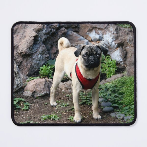 Item preview, I Want a Treat! designed and sold by heatherfriedman.