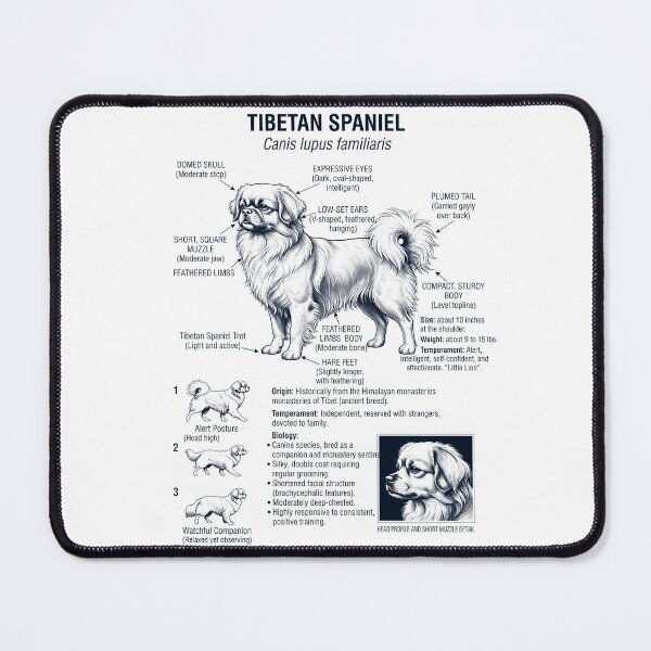 Item preview, Tibetan Spaniel Scientific Anatomy Biology Dog Lover designed and sold by dian-rody-crest.