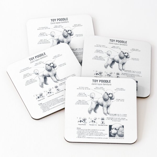 Item preview, Toy Poodle Scientific Anatomy Biology Dog Lover designed and sold by dian-rody-crest.