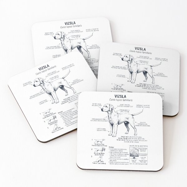Item preview, Vizsla Anatomía Científica Biología Amante de los Perros designed and sold by dian-rody-crest.