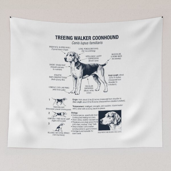 Item preview, Treeing Walker Coonhound Scientific Anatomy Biology Dog Lover designed and sold by dian-rody-crest.