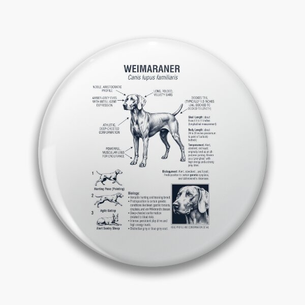 Item preview, Weimaraner Scientific Anatomy Biology Dog Lover designed and sold by dian-rody-crest.