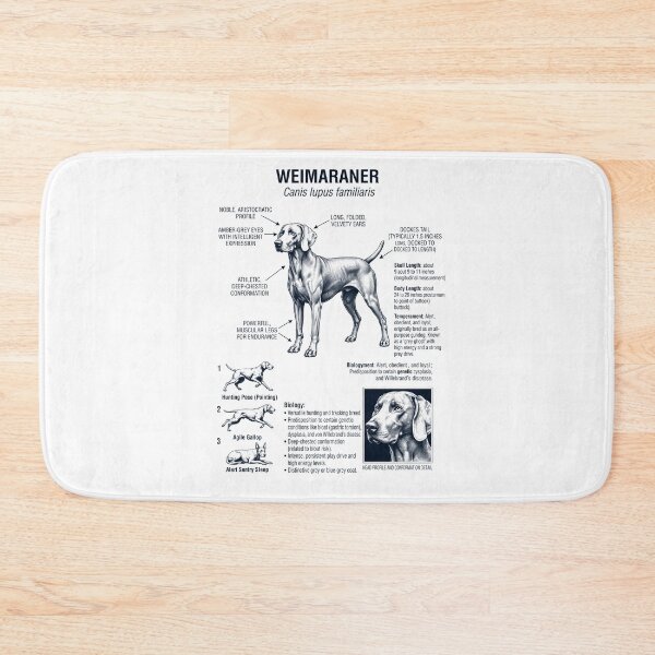 Item preview, Weimaraner Scientific Anatomy Biology Dog Lover designed and sold by dian-rody-crest.