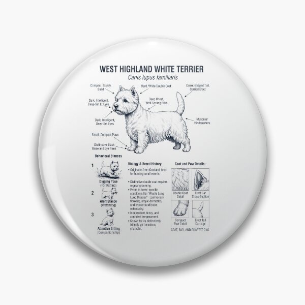 Artikelvorschau, West Highland White Terrier – Wissenschaftliche Anatomie, Biologie, Hundeliebhaber entworfen und verkauft von dian-rody-crest.
