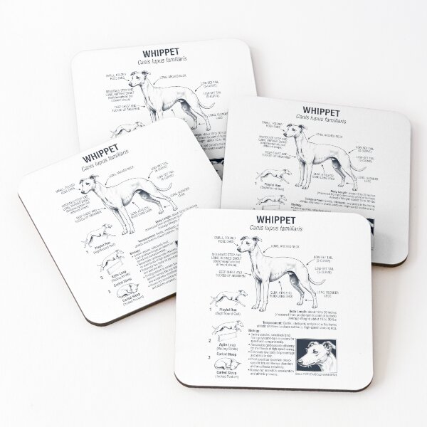 Item preview, Whippet Scientific Anatomy Biology Dog Lover designed and sold by dian-rody-crest.