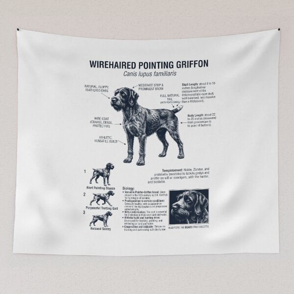 Item preview, Wirehaired Pointing Griffon Scientific Anatomy Biology Dog Lover designed and sold by dian-rody-crest.