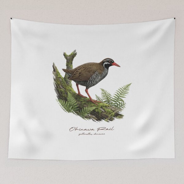 Item preview, Okinawa Rail in Forest Bird Illustration designed and sold by Takeda-art.