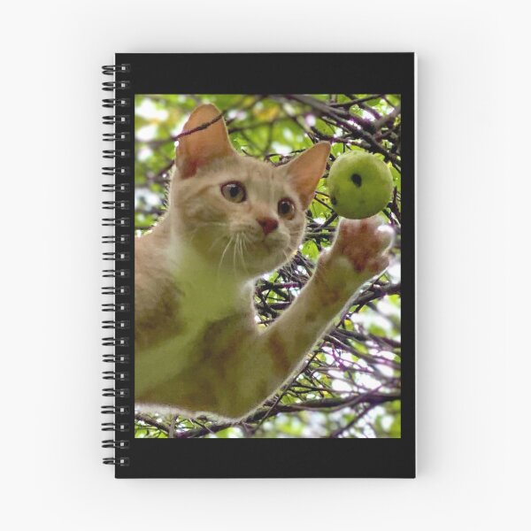 Item preview, Cat's Dreams Within Reach designed and sold by Duck Parrish.