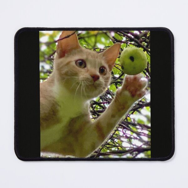 Item preview, Cat's Dreams Within Reach designed and sold by Duck Parrish.