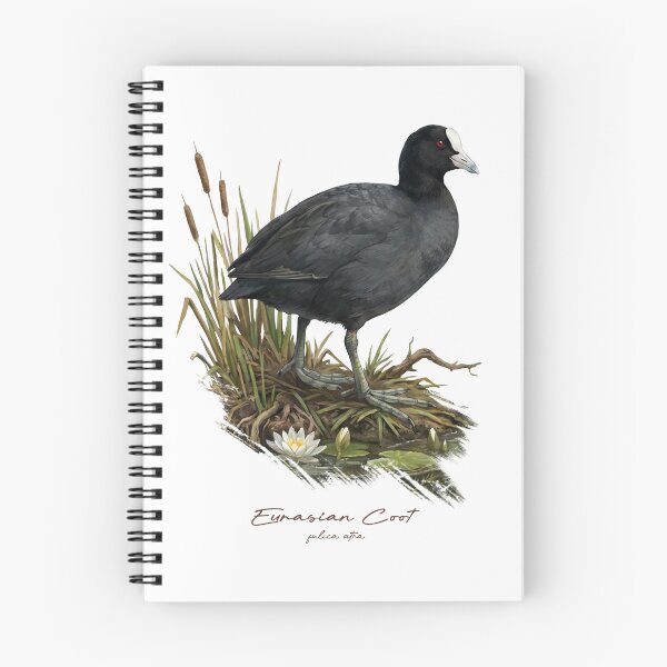 Item preview, Eurasian Coot on Wetland Bird Illustration designed and sold by Takeda-art.