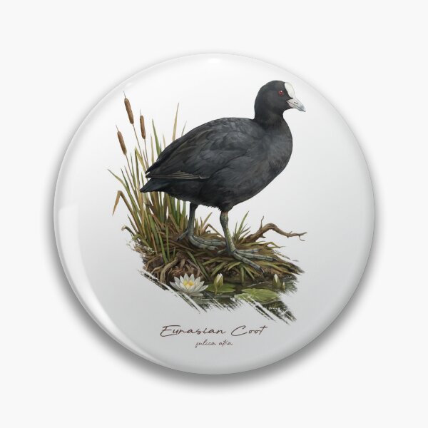 Item preview, Eurasian Coot on Wetland Bird Illustration designed and sold by Takeda-art.