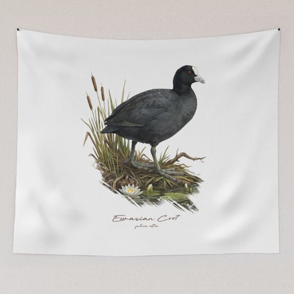Item preview, Eurasian Coot on Wetland Bird Illustration designed and sold by Takeda-art.