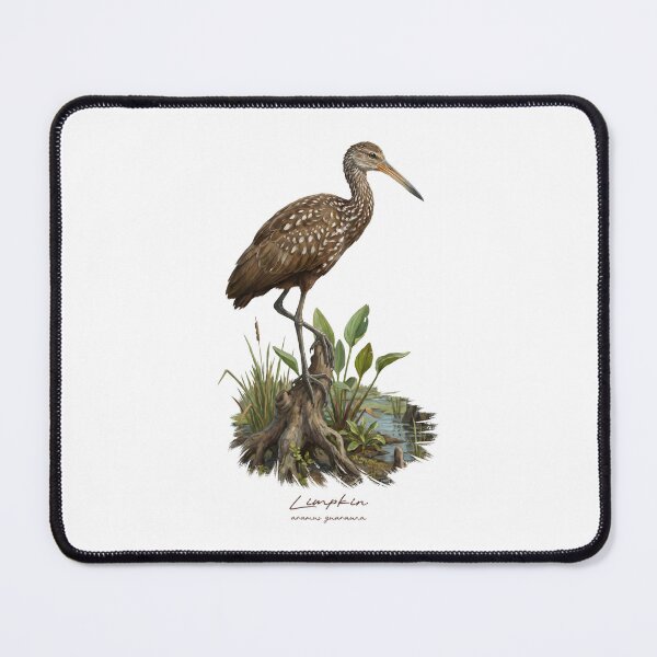 Item preview, Limpkin on Marsh Wetland Bird Illustration designed and sold by Takeda-art.
