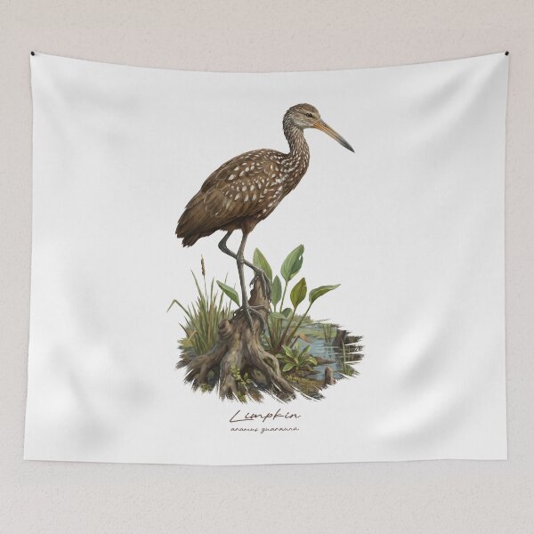 Item preview, Limpkin on Marsh Wetland Bird Illustration designed and sold by Takeda-art.