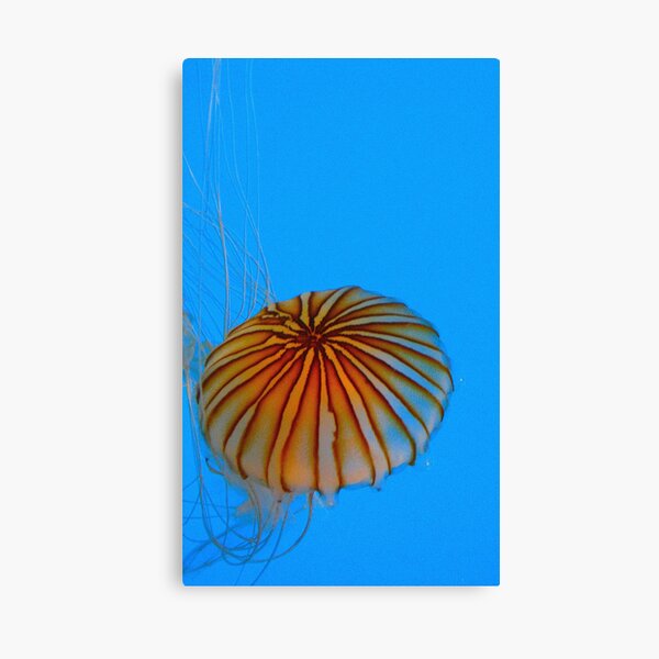 Beach Umbrella Canvas Print