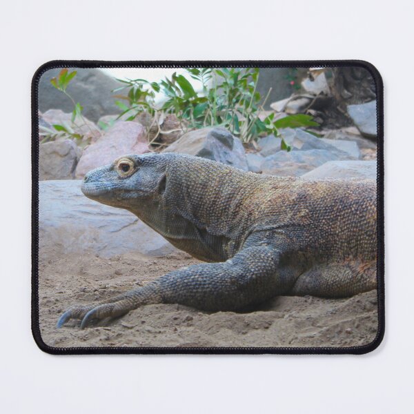 Item preview, Komodo Dragon designed and sold by Creek Nymph Photography.
