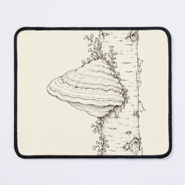 Item preview, Birch Polypore Study | Cottagecore Nature Print designed and sold by Zaramodo.