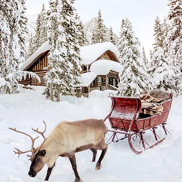 Artwork thumbnail, Winter Ride by galdesign