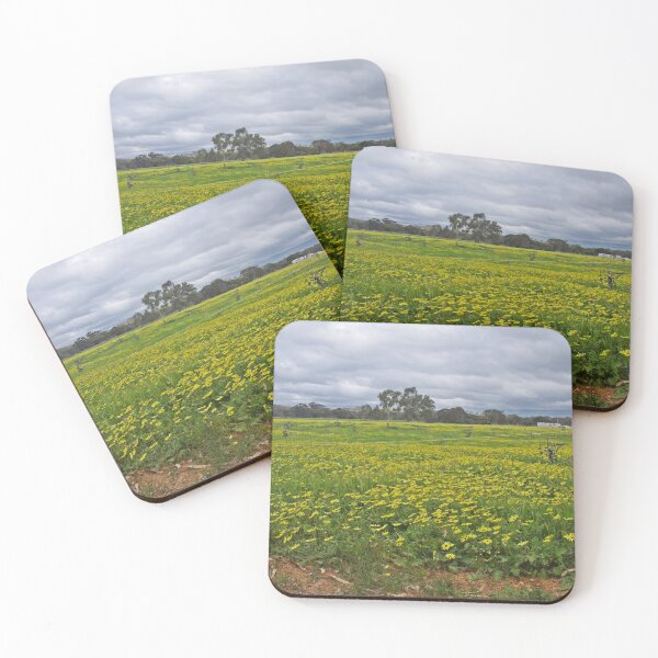 Item preview, Cape Daisies In Australia designed and sold by lezvee.