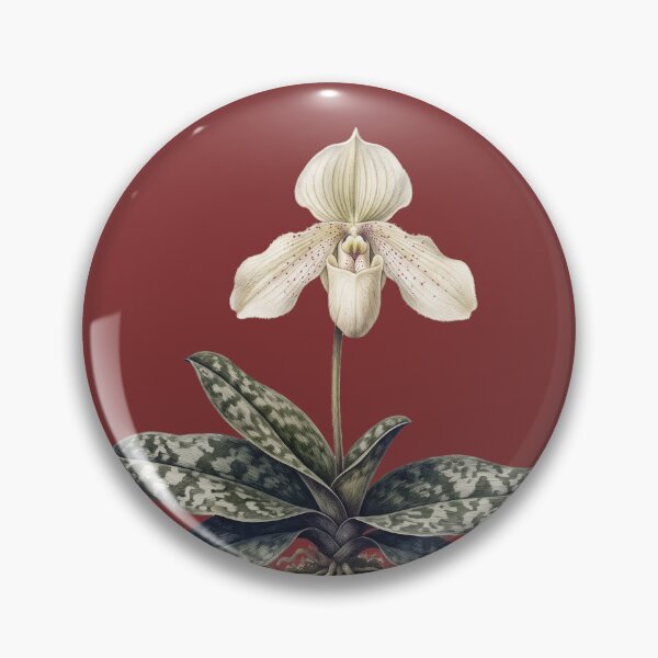 Item preview, Paphiopedilum Niveum Print: Limestone Extortion designed and sold by FreiherrPK.