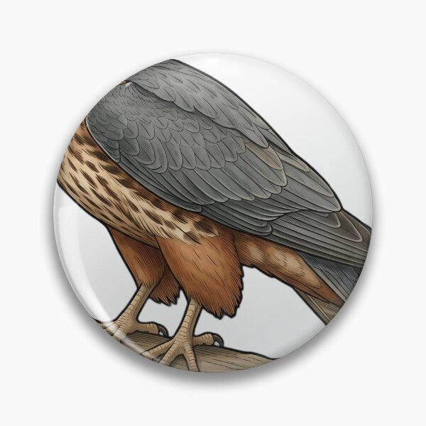 Artikelvorschau, Vintage Naturalist Eurasian Hobby — Antique Falcon Plate entworfen und verkauft von Catch333.