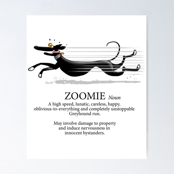 Item preview, Greyhound Zoomie designed and sold by sebasssaalinde.