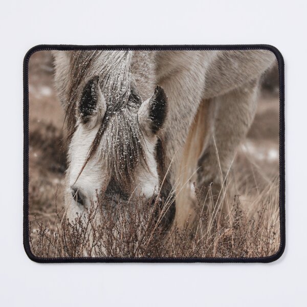 Item preview, Snowy Grey Brumby Mare Christmas designed and sold by Animal House Store.