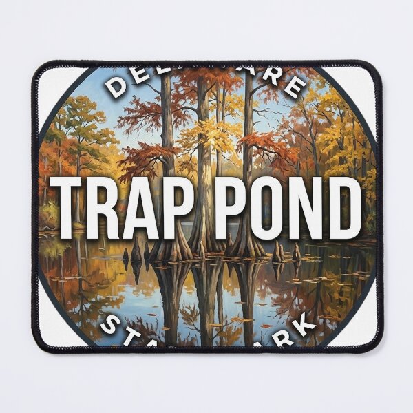 Item preview, Trap Pond State Park Delaware Autumn Reflection Round Badge Sticker designed and sold by DetourDgn.