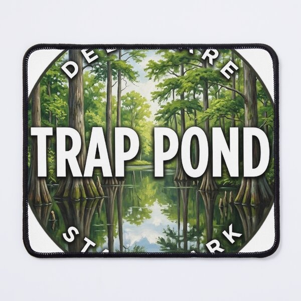 Item preview, Trap Pond State Park Delaware Summer Cypress Round Badge Sticker designed and sold by DetourDgn.