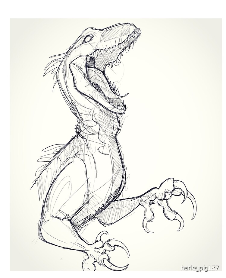 Featured image of post The Best 20 How To Draw A Indoraptor For Kids