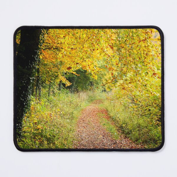 Item preview, Autumn Lane designed and sold by Murph's Images.